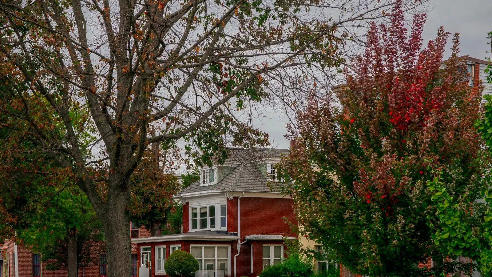 Older brick homes among mature trees on a residential street
