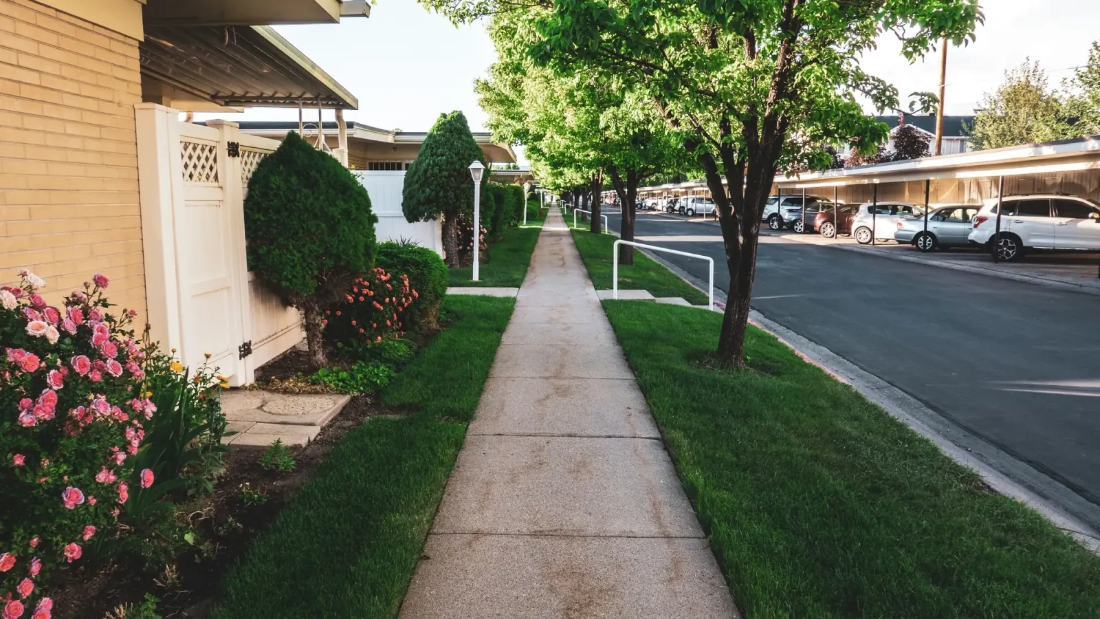 Concrete sidewalk running past homes on a quiet residential street